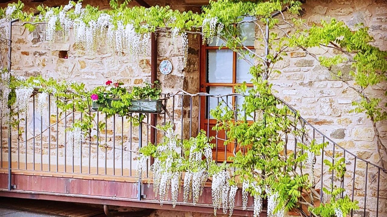 Filattiera Hotel Podere Conti المظهر الخارجي الصورة